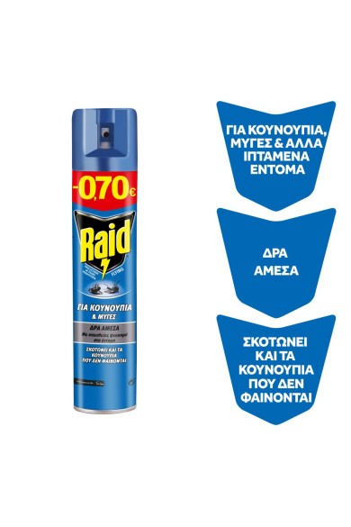 Raid Εντομοκτόνο Σπρέι 300ml